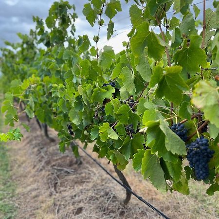 Вилла Bracken Ridge Vineyard The Entire Estate Rothbury Экстерьер фото