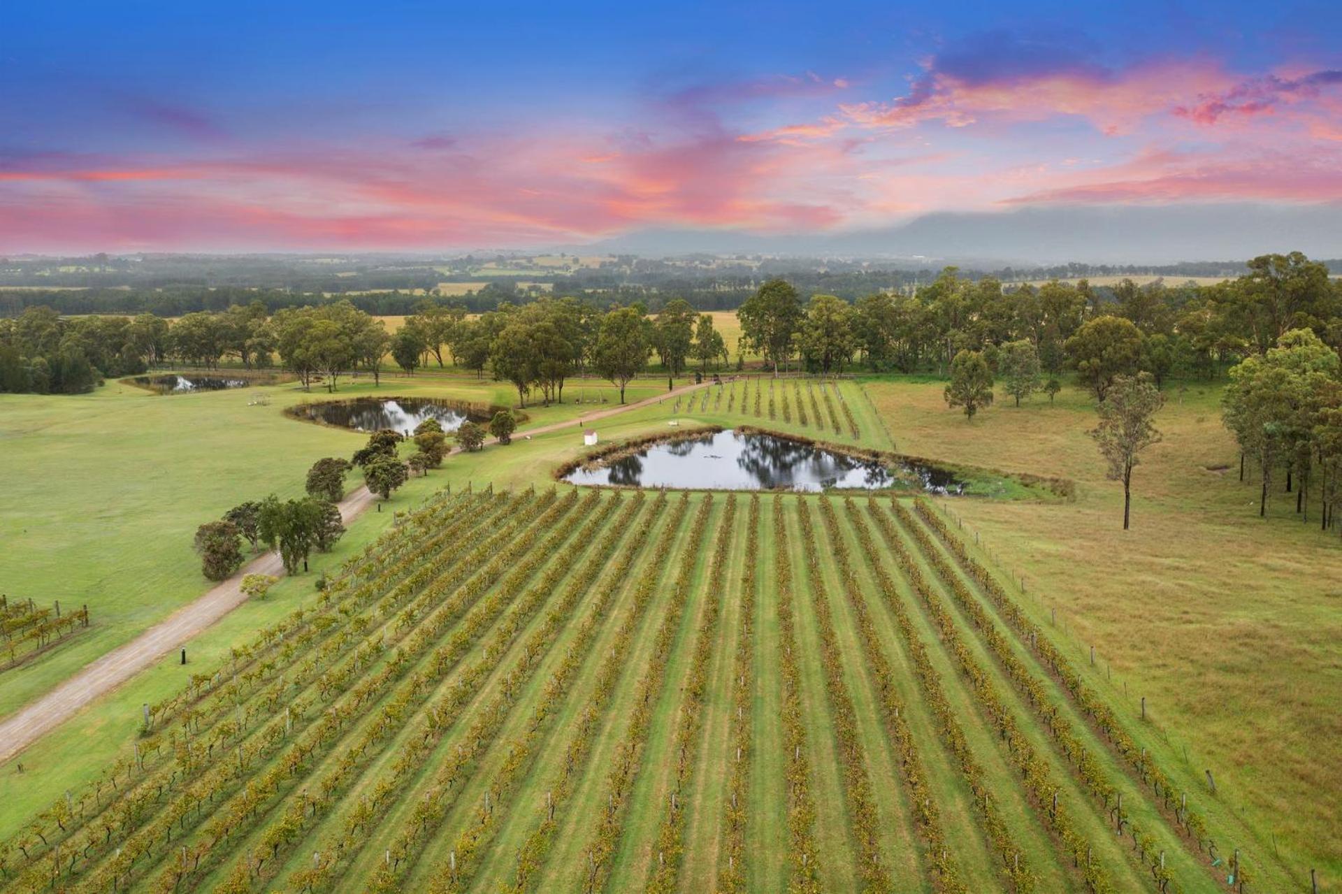 Вилла Bracken Ridge Vineyard The Entire Estate Rothbury Экстерьер фото
