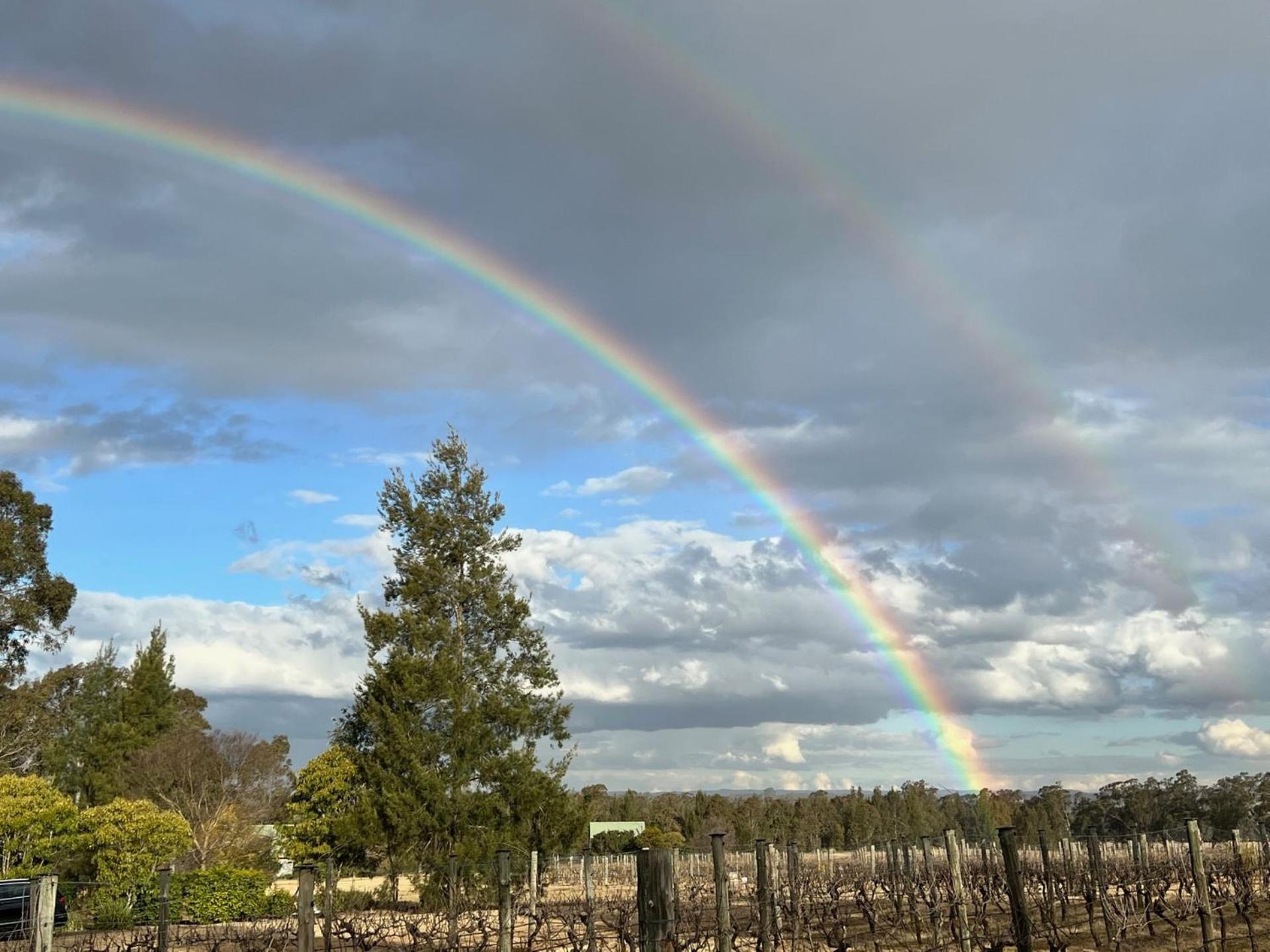 Вилла Bracken Ridge Vineyard The Entire Estate Rothbury Экстерьер фото