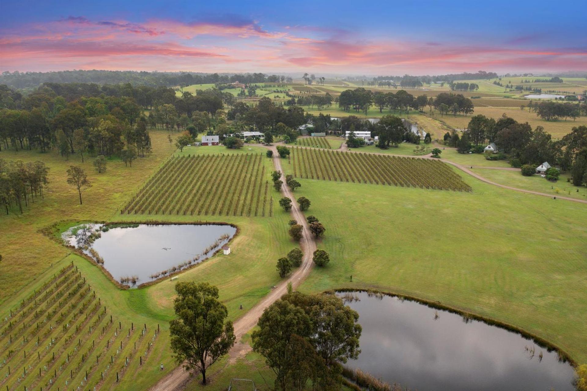 Вилла Bracken Ridge Vineyard The Entire Estate Rothbury Экстерьер фото
