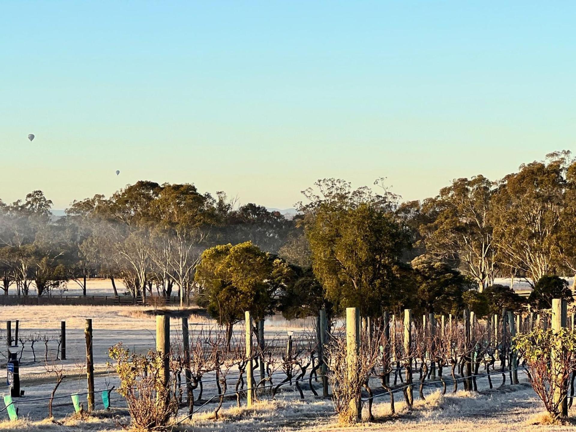 Вилла Bracken Ridge Vineyard The Entire Estate Rothbury Экстерьер фото